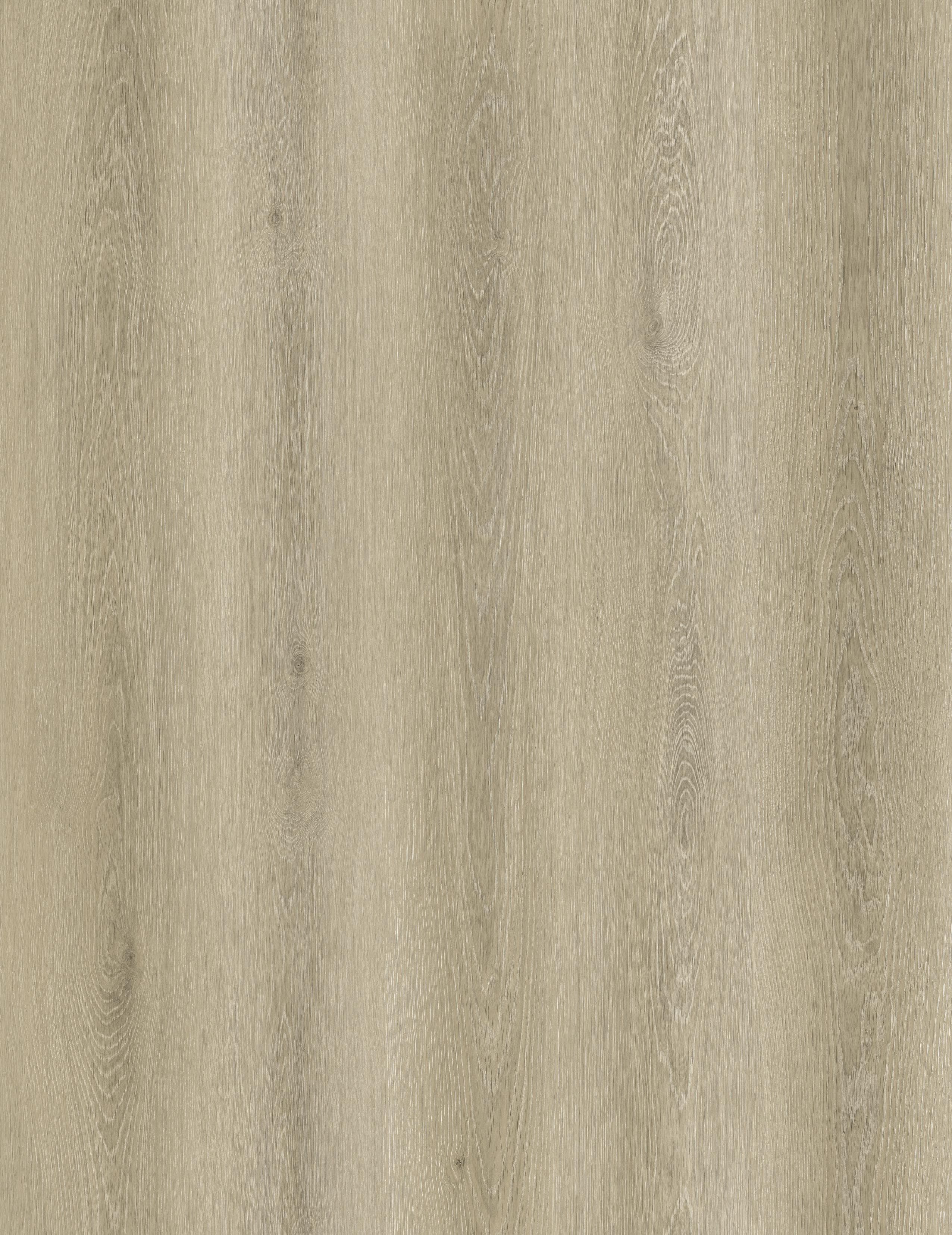 Reference 1003-12 · EIR-1003 · Surface Reference / Model Visual
