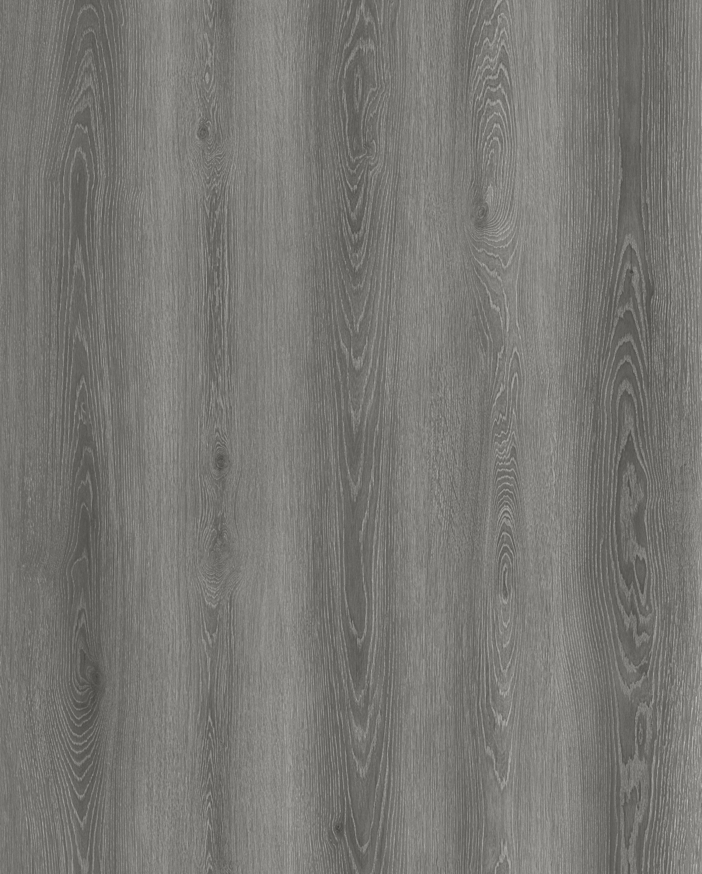 Reference 1003-13 · EIR-1003 · Surface Reference / Model Visual