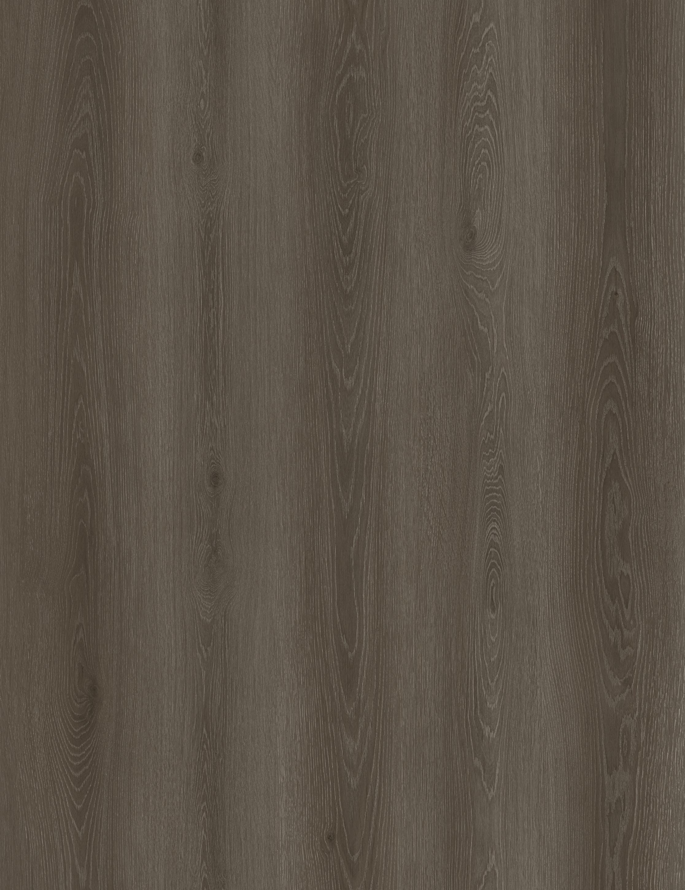 Reference 1003-14 · EIR-1003 · Surface Reference / Model Visual