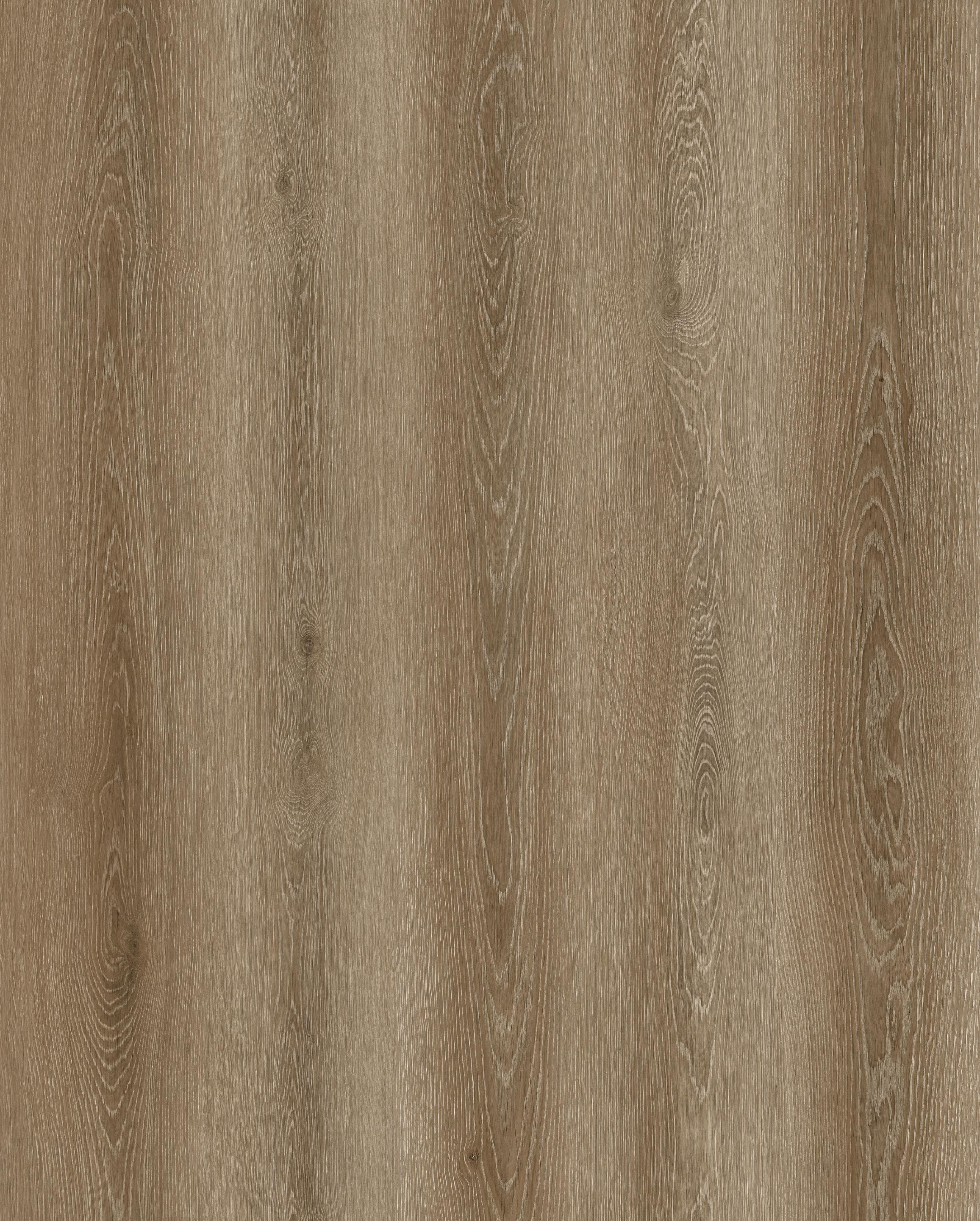 Reference 1003-16 · EIR-1003 · Surface Reference / Model Visual