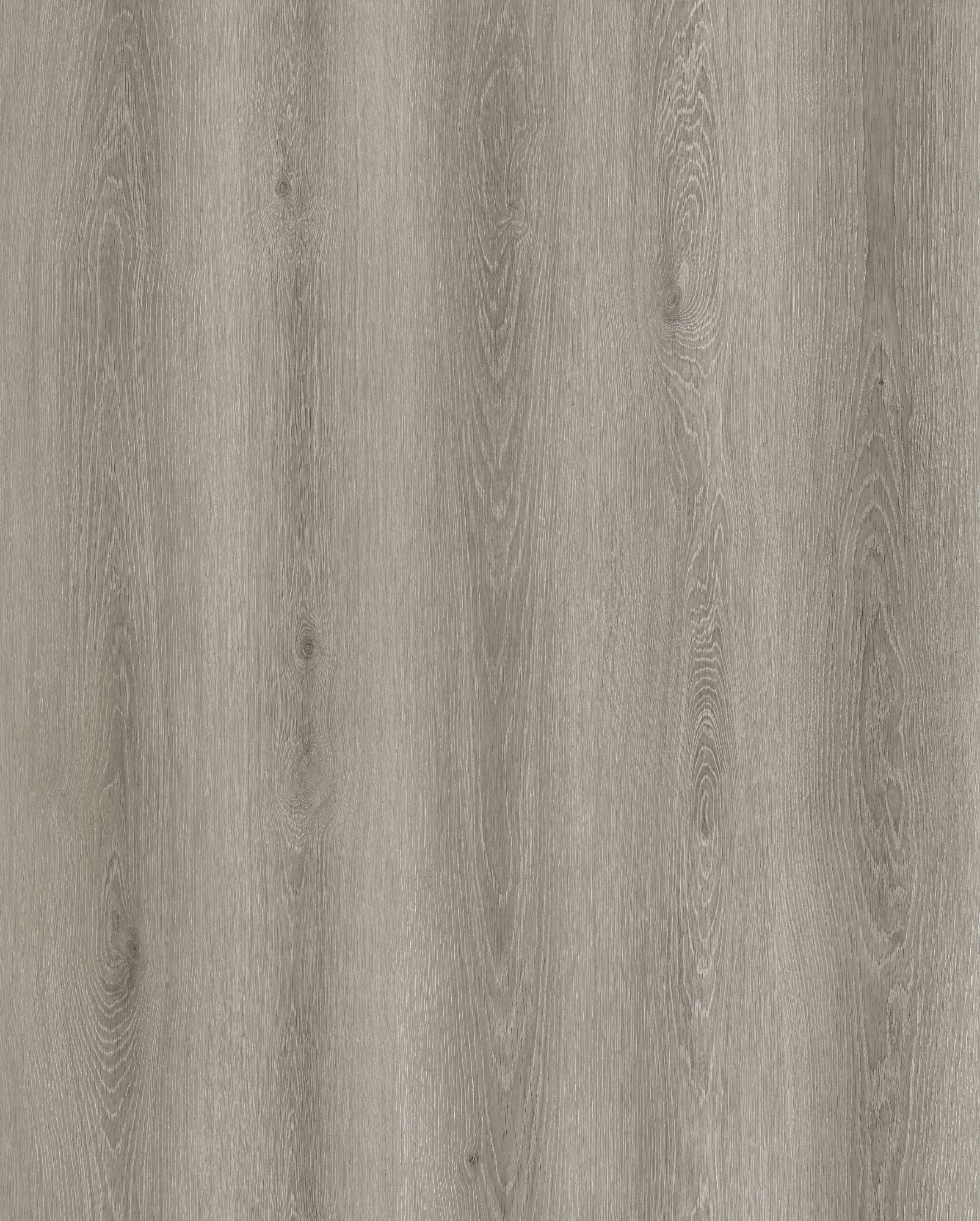 Reference 1003-17 · EIR-1003 · Surface Reference / Model Visual
