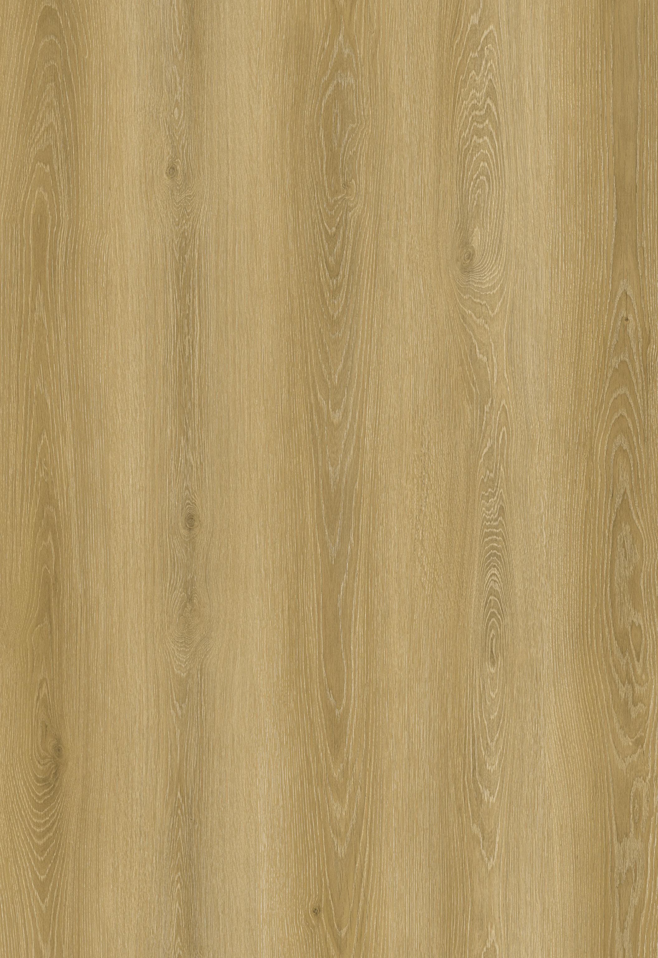 Reference 1003-2 · EIR-1003 · Surface Reference / Model Visual