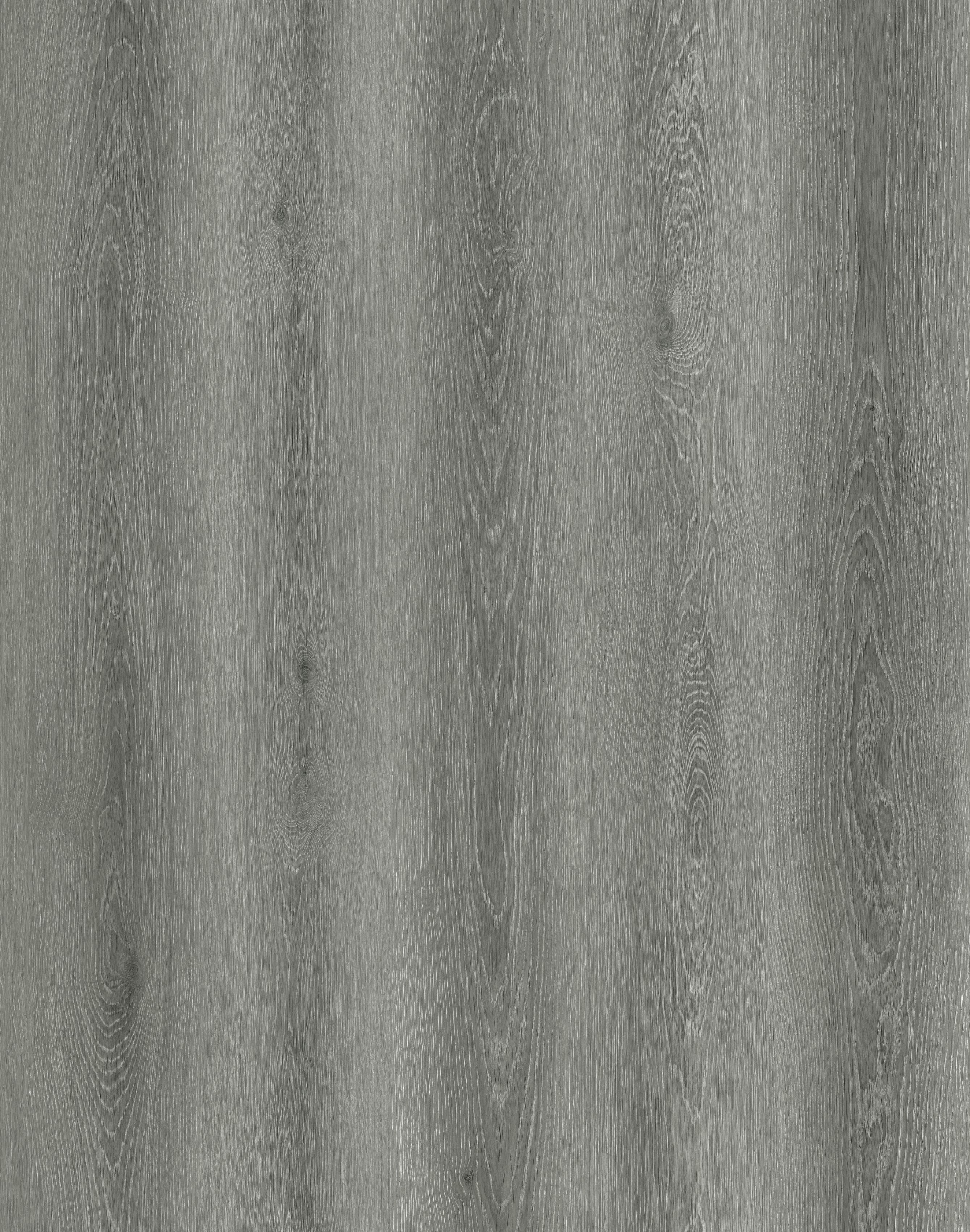 Reference 1003-6 · EIR-1003 · Surface Reference / Model Visual