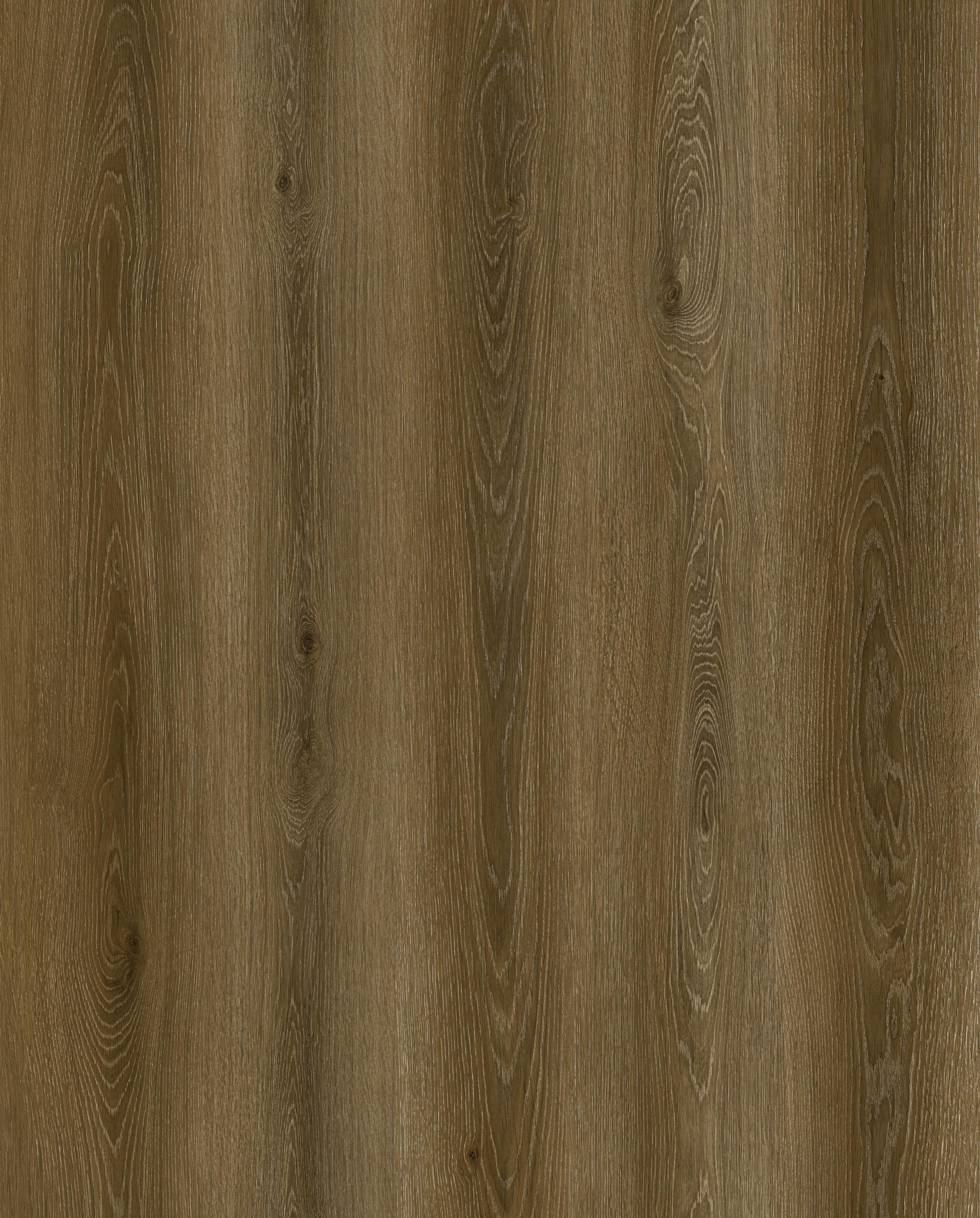 Reference 1003-7 · EIR-1003 · Surface Reference / Model Visual