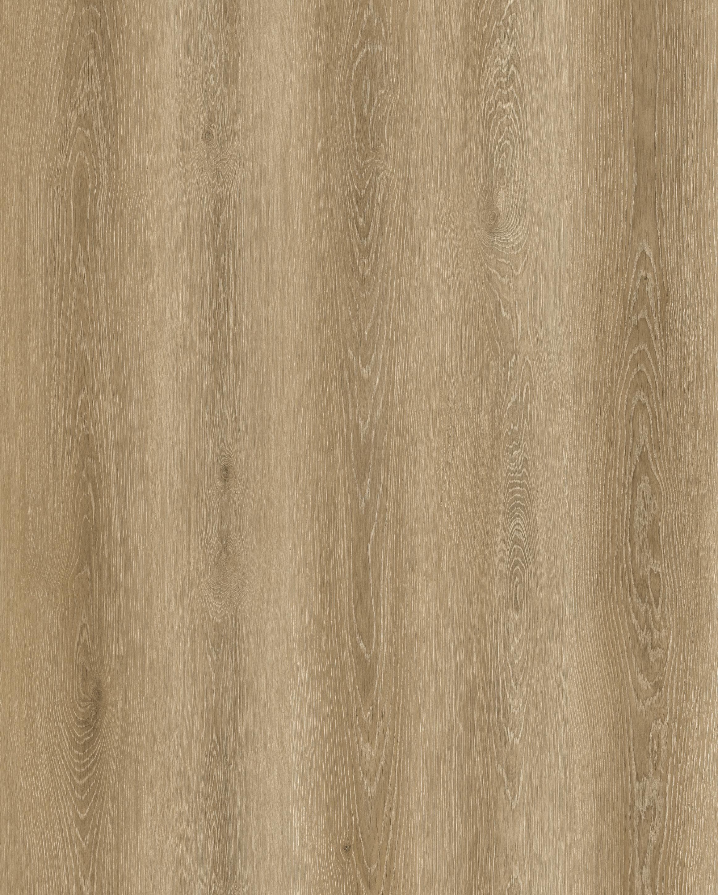 Reference 1003-A · EIR-1003 · Surface Reference / Model Visual