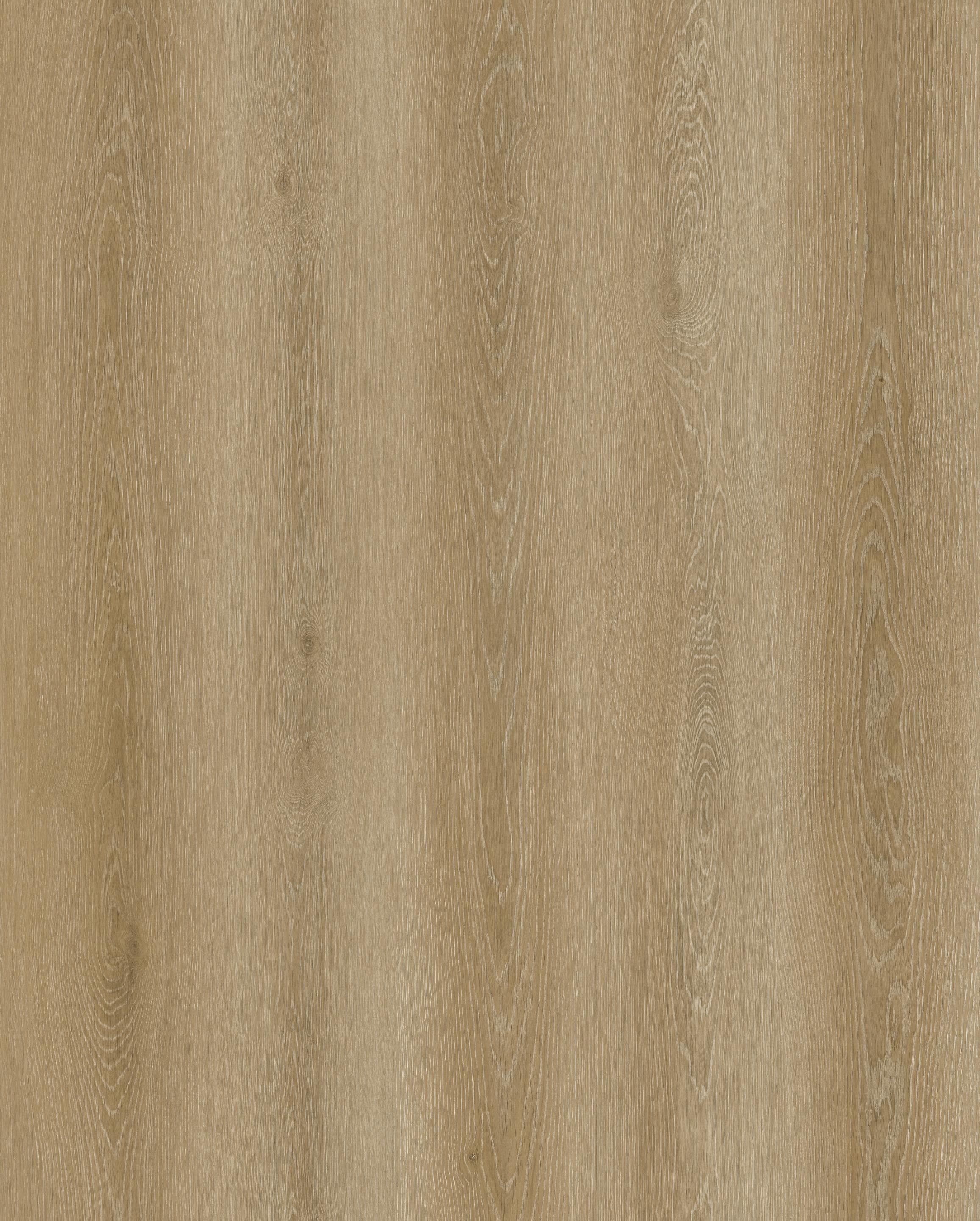 Reference 1003-B · EIR-1003 · Surface Reference / Model Visual