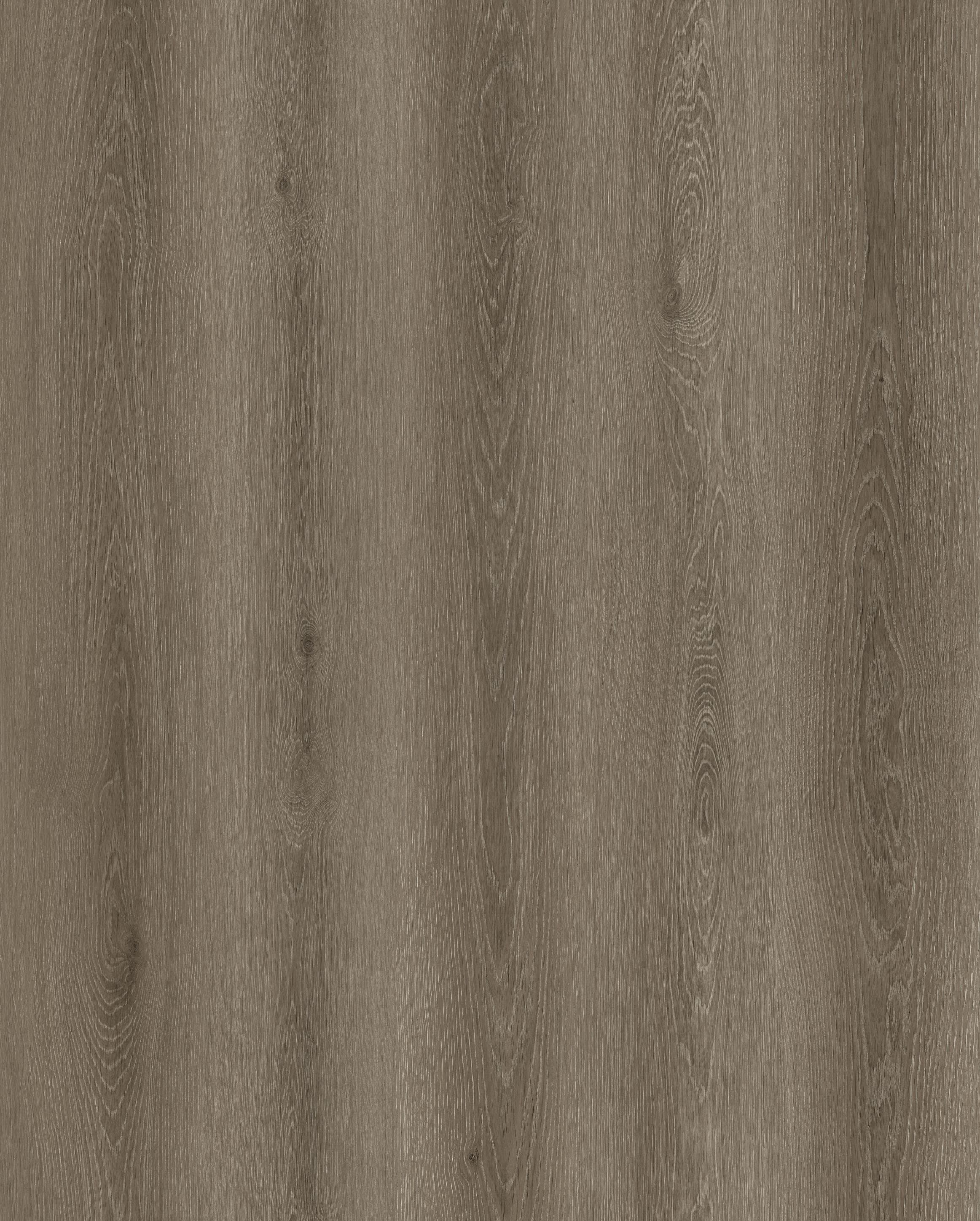 Reference 1003 · EIR-1003 · Surface Reference / Model Visual