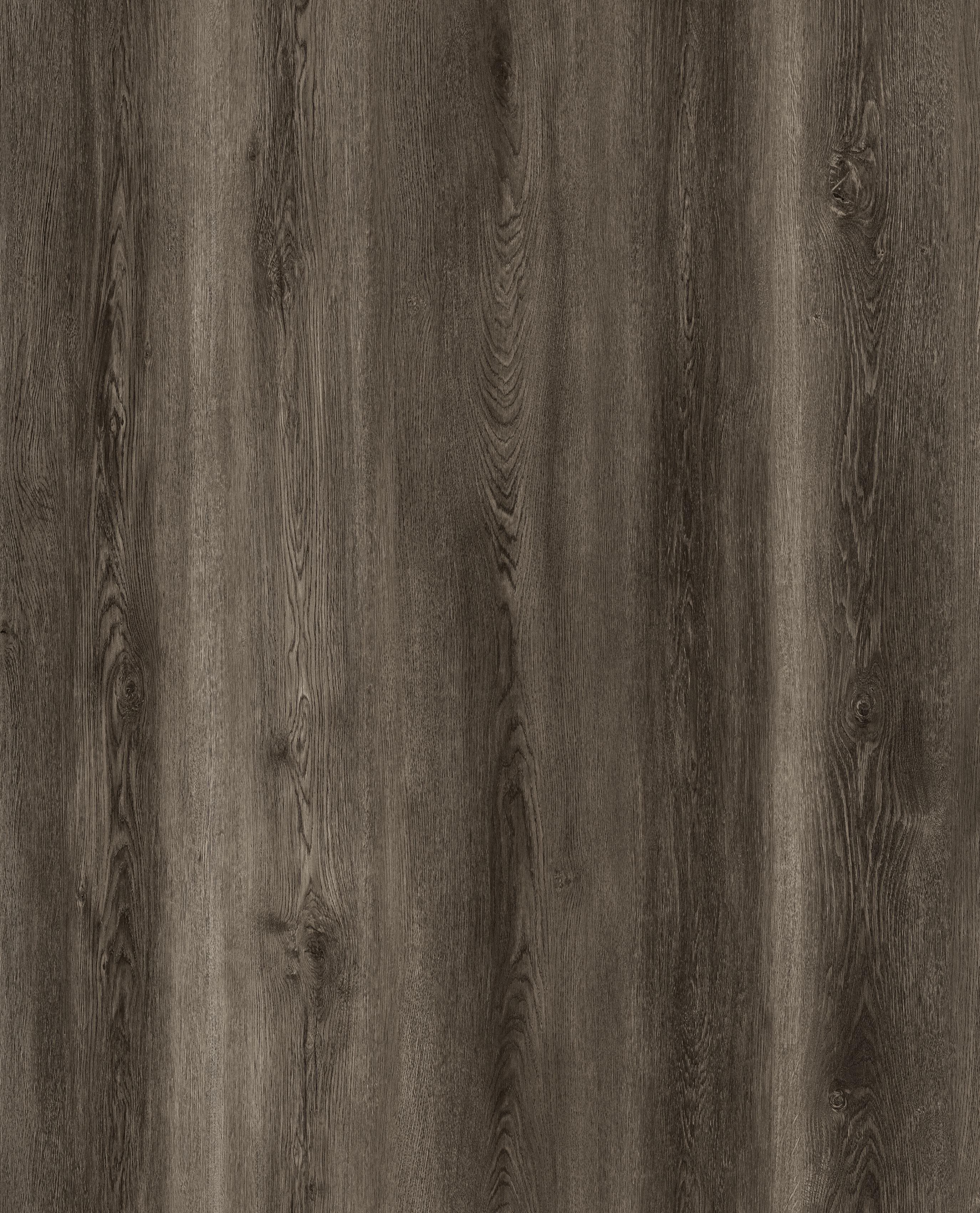Reference 889-12 · EIR-889 · Surface Reference / Model Visual