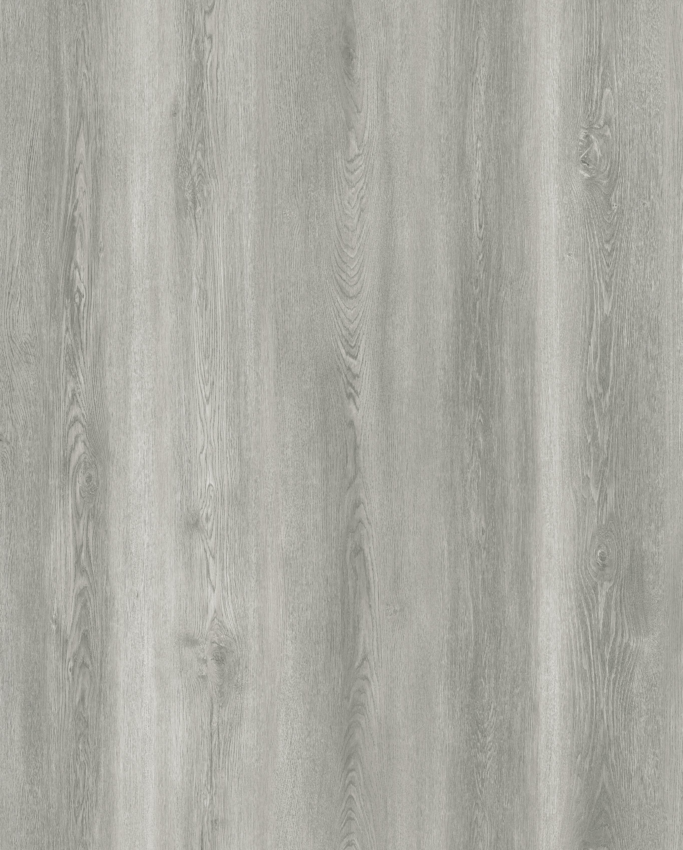 Reference 889-1 · EIR-889 · Surface Reference / Model Visual
