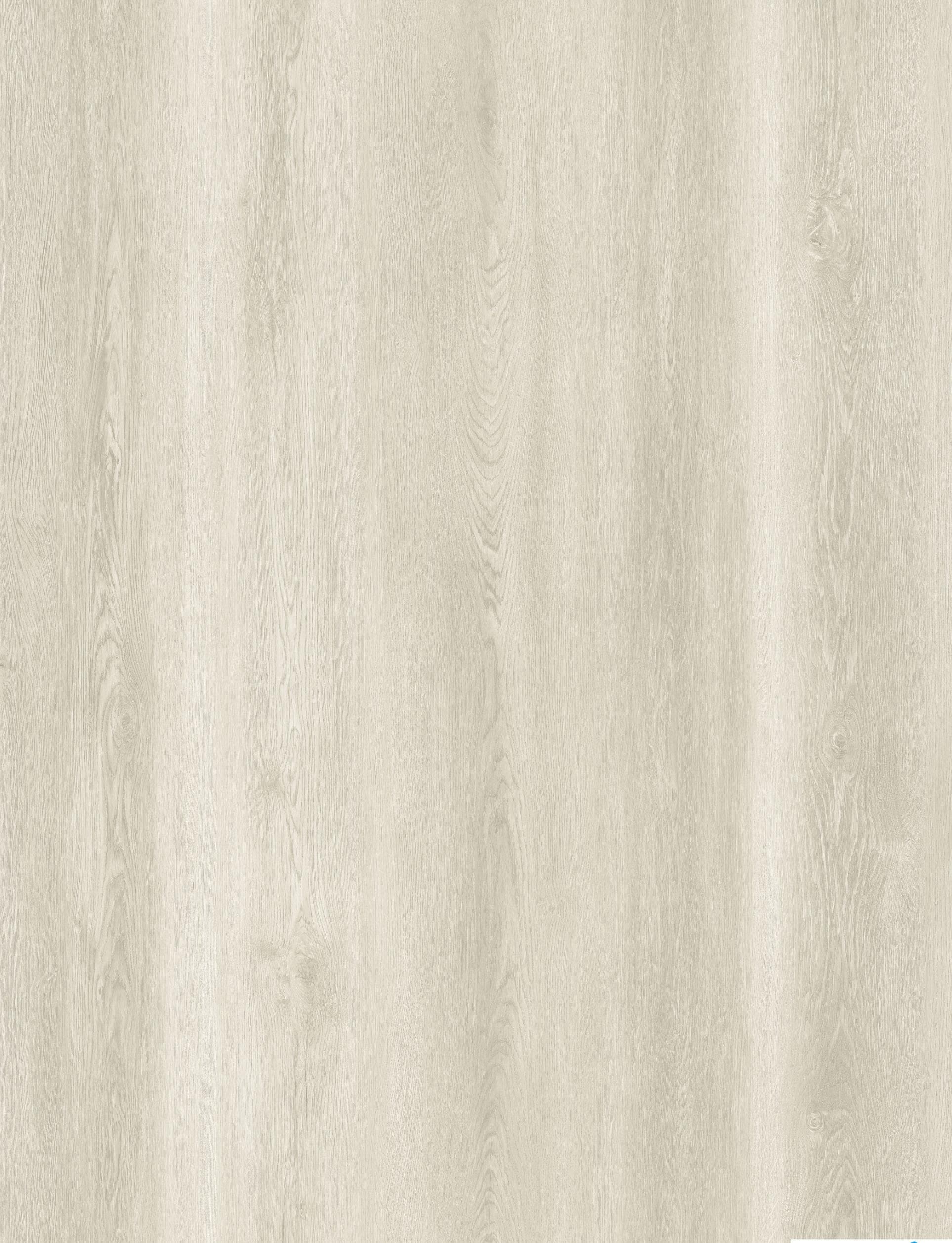 Reference 889-21 · EIR-889 · Surface Reference / Model Visual