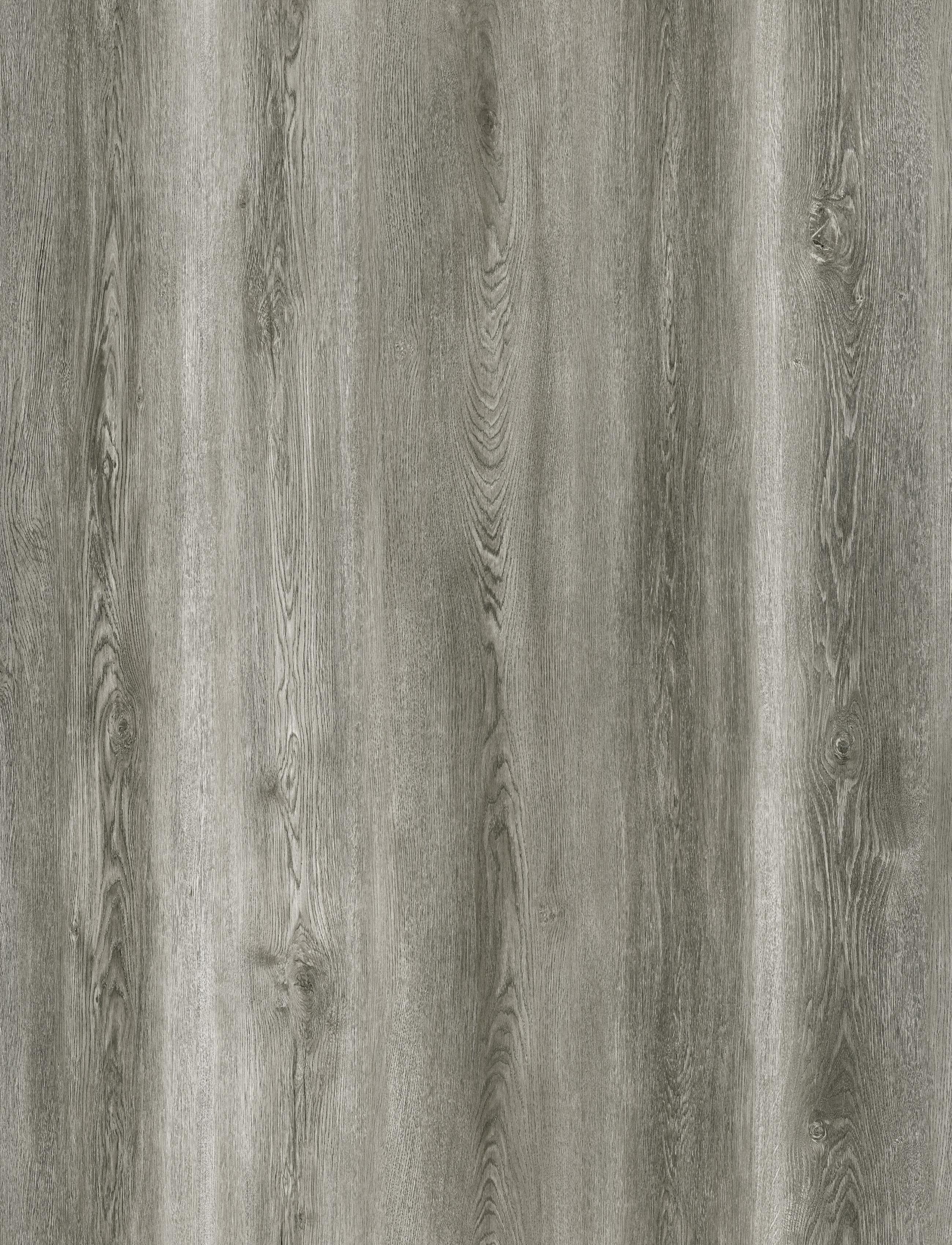 Reference 889-22 · EIR-889 · Surface Reference / Model Visual