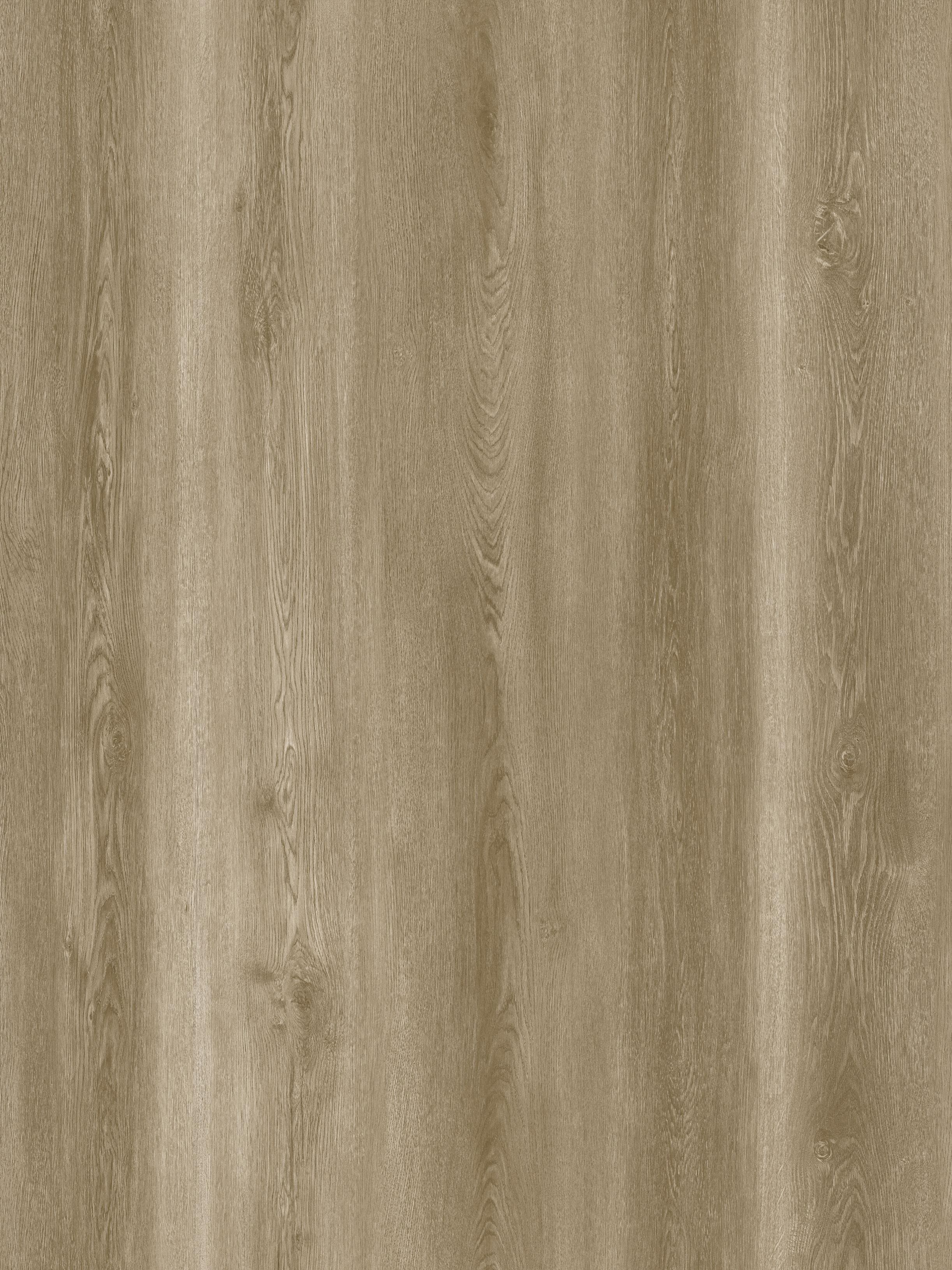 Reference 889-2 · EIR-889 · Surface Reference / Model Visual