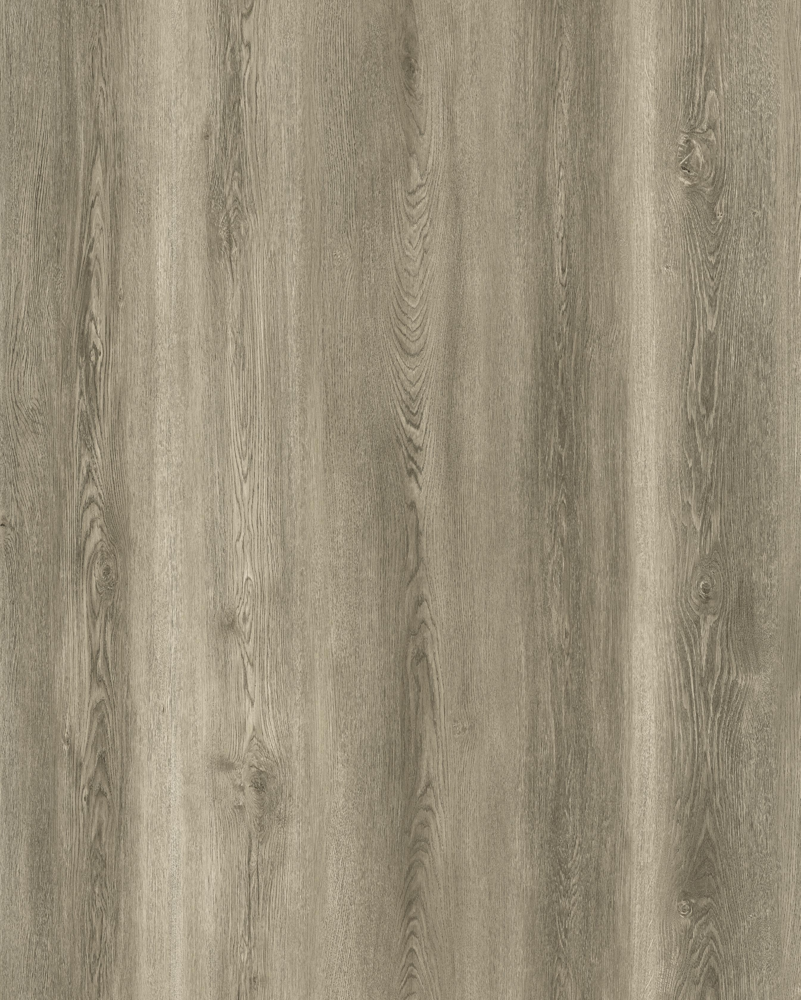 Reference 889-3 · EIR-889 · Surface Reference / Model Visual