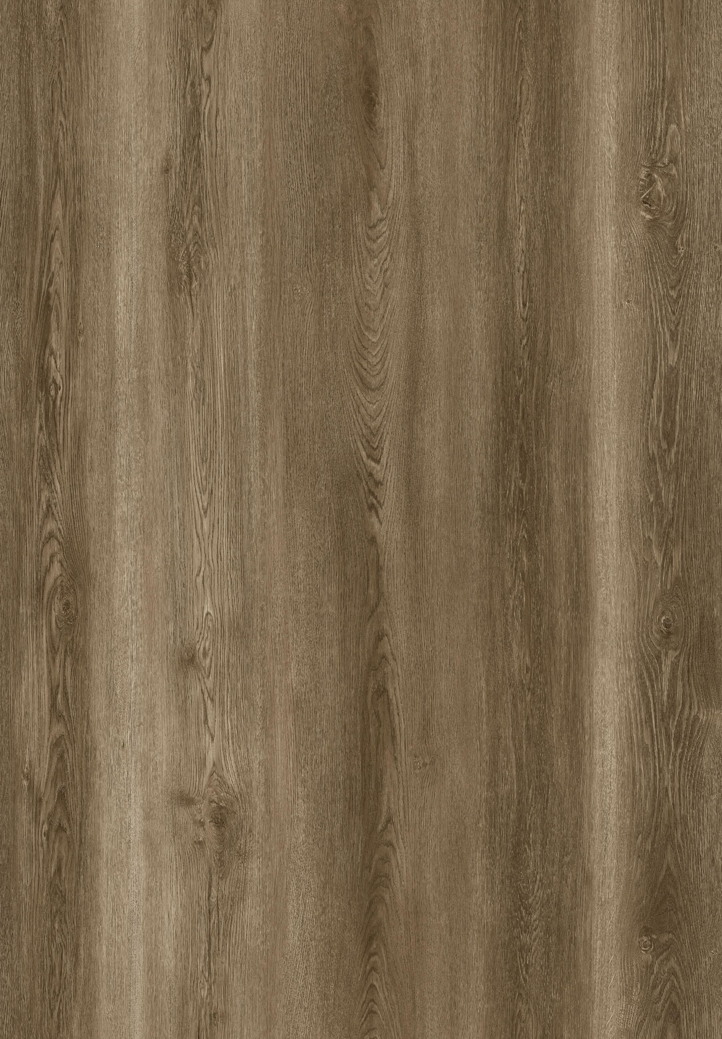 Reference 889-6 · EIR-889 · Surface Reference / Model Visual