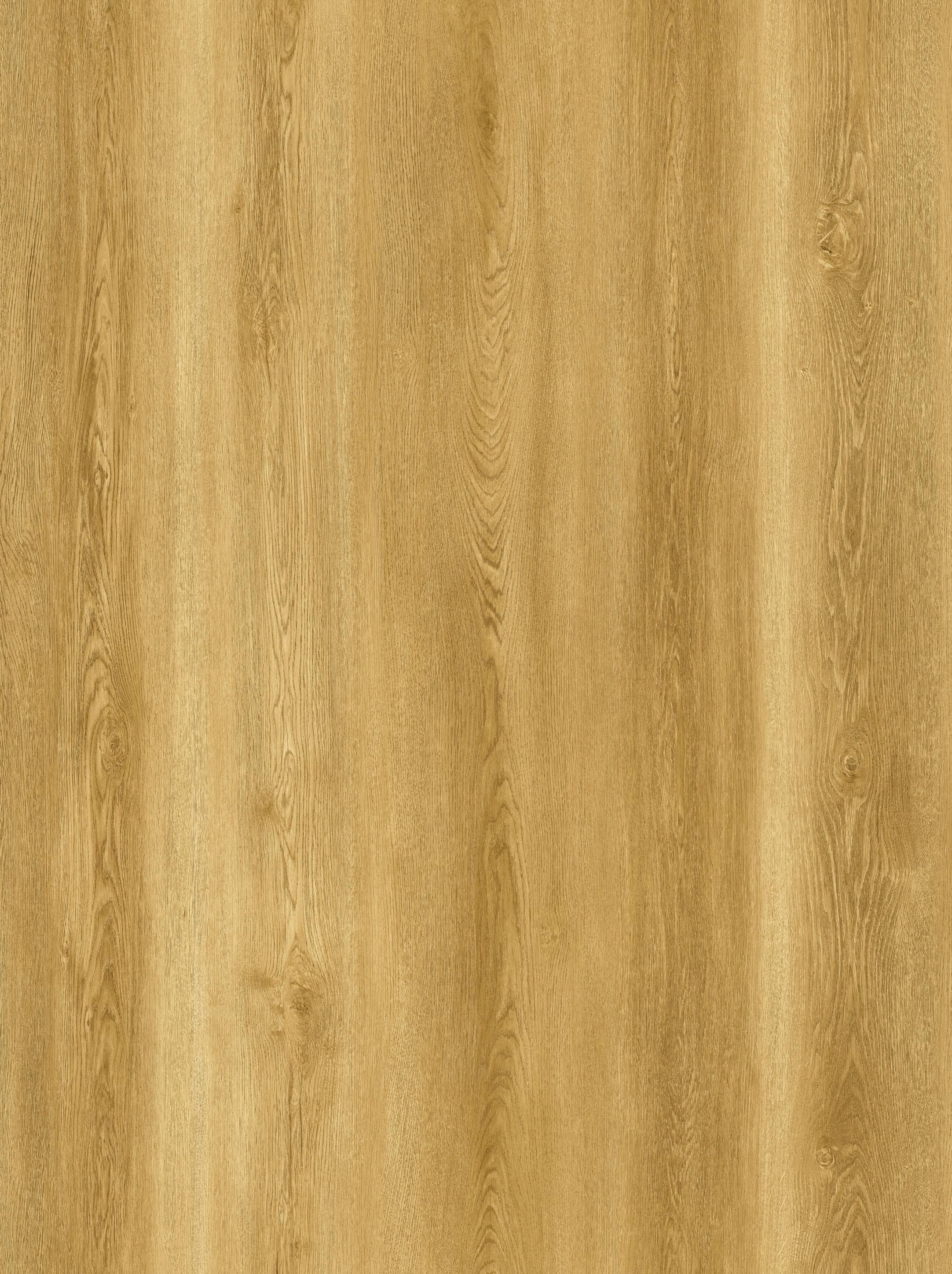 Reference 889-7 · EIR-889 · Surface Reference / Model Visual