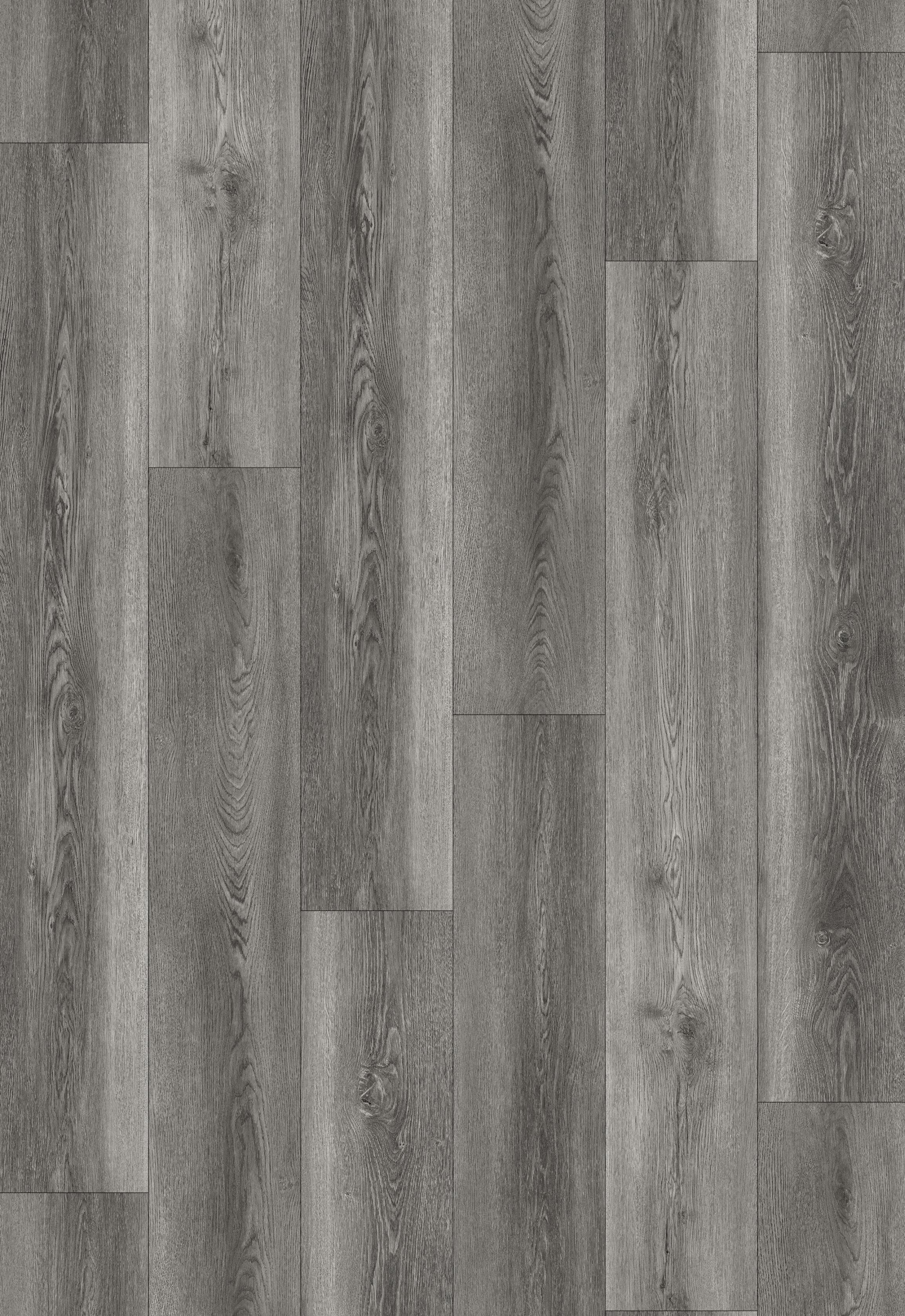 Reference 889-8 · EIR-889 · Surface Reference / Model Visual
