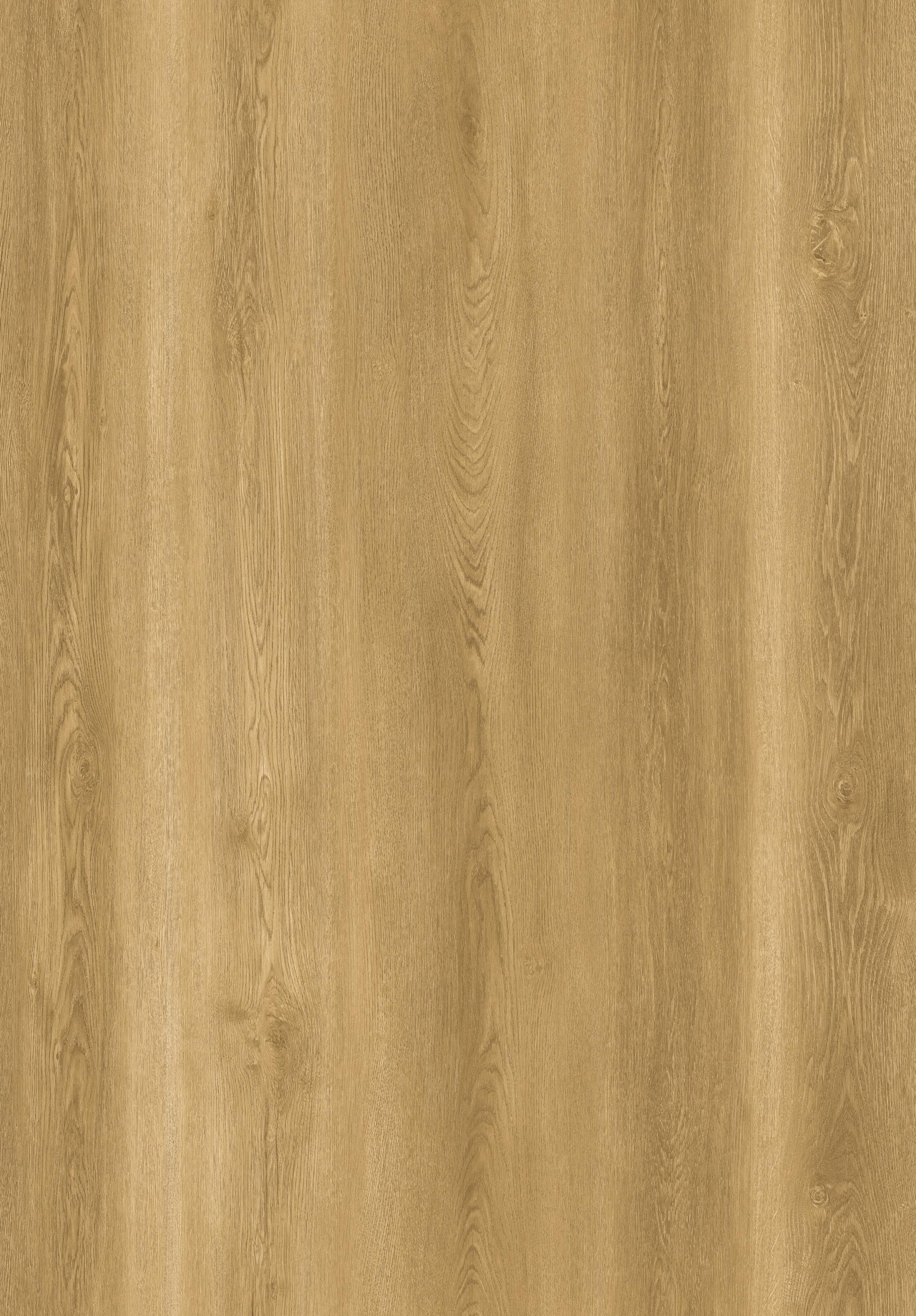 Reference 889-B · EIR-889 · Surface Reference / Model Visual