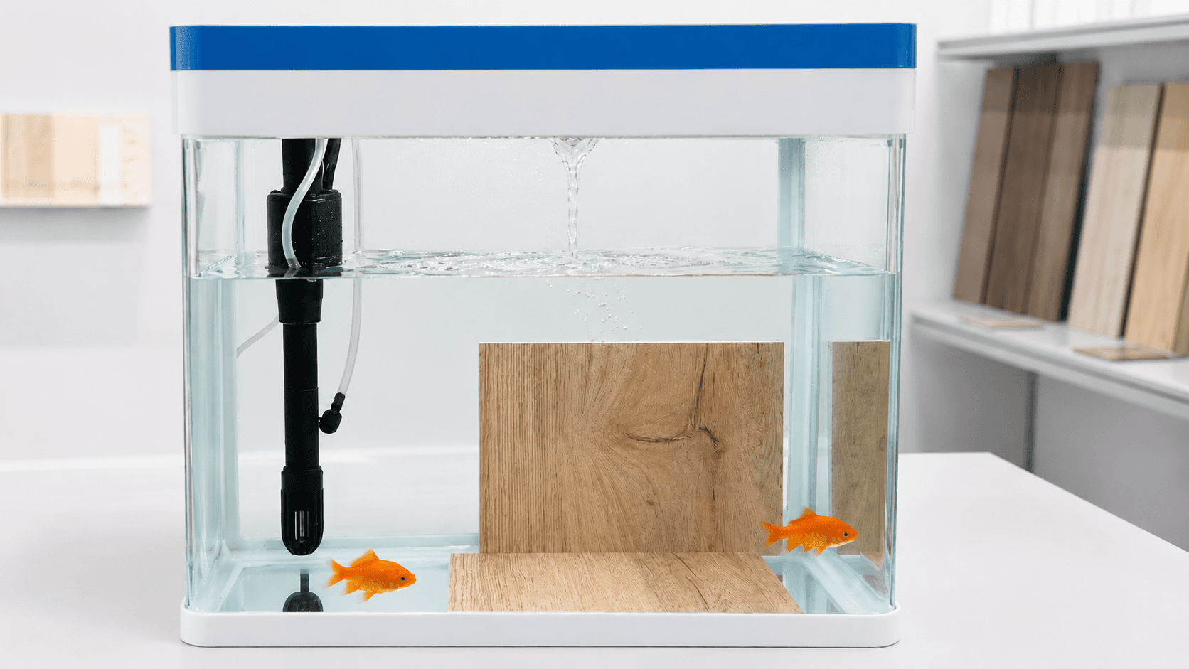 Esposizione in acquario con due pesci rossi e pannelli campione SPC effetto legno immersi nell’acqua.